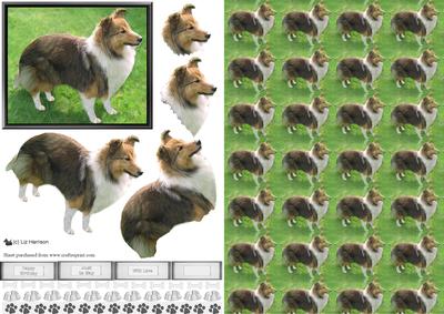 Sheltie,shetland Sheepdog 3D Decoupage with Background
