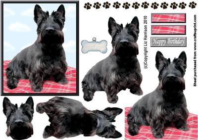 Scottish Terrier 3D Decoupage