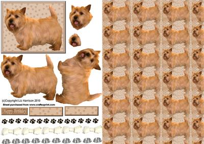 Cairn Terrier 3D Decoupage with Background