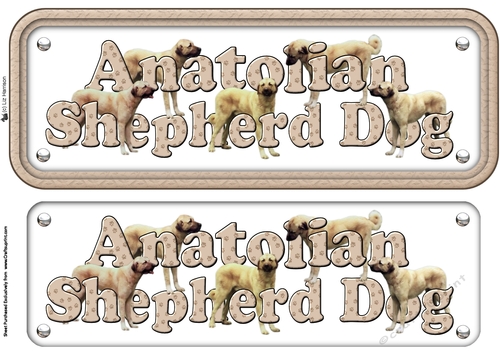 Anatolian Shepherd Dog Name Sign
