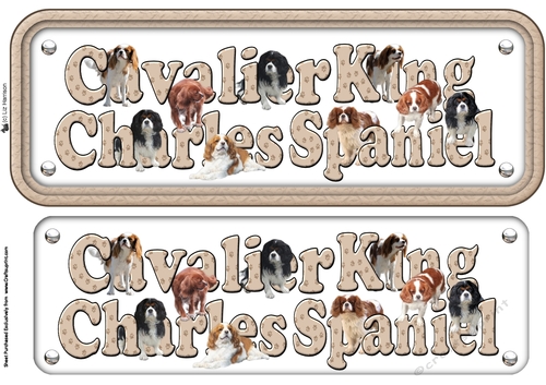 Cavalier King Charles Spaniel Name Sign