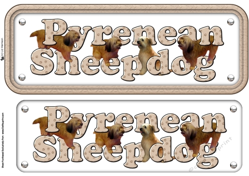 Pyrenean Sheppdog Name Sign