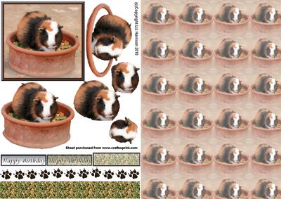 Guinea Pig 3D Decoupage with Background