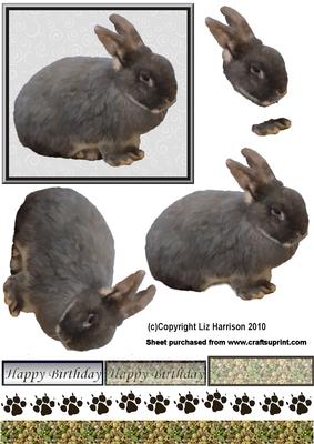 Bunny 3D Decoupage
