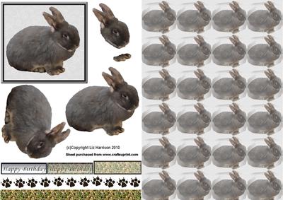 Bunny 3D Decoupage with Background