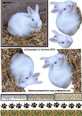 White Rabbit 3D Decoupage