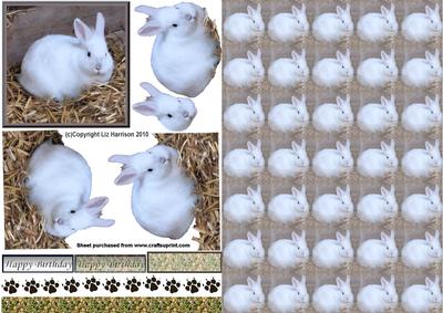 White Rabbit 3D Decoupage with Background