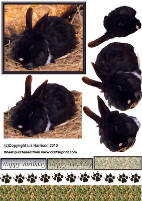 Lionhead Rabbit 3D Decoupage