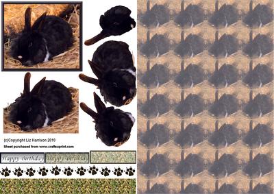 Lion Head Rabbit 3D Decoupage with Background