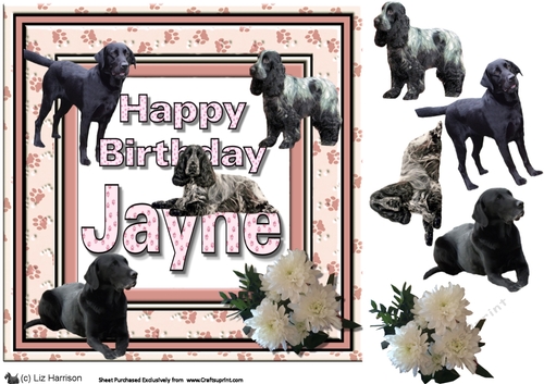 Happy Birthday Jayne with Dogs