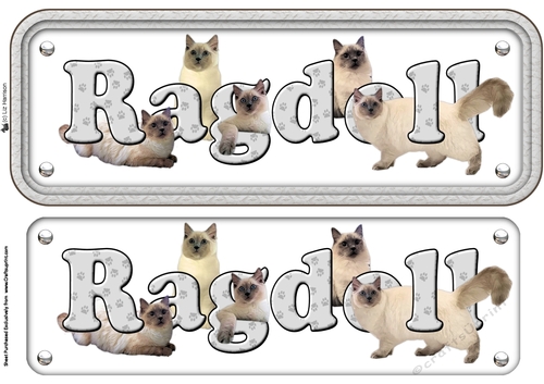 Ragdoll Cat Name Sign