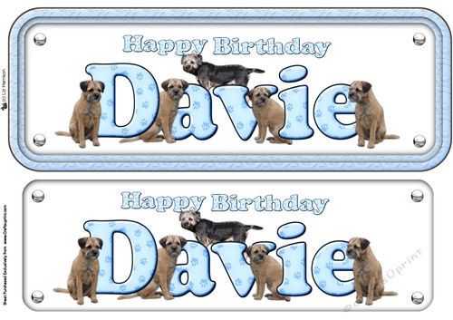 Happy Birthday Davie Border Terrier name Sign