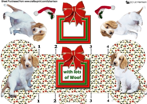 Welsh Springer Spaniel Christmas Bone shaped card