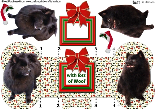 German Spitz (Mittel)  Christmas Bone Shaped Card