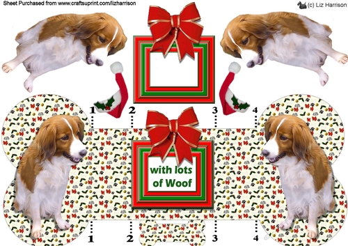 Kooikerhondje Christmas Bone Shaped Card