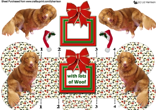 Nova Scotia Duck Tolling Retriever Christmas Bone shaped card