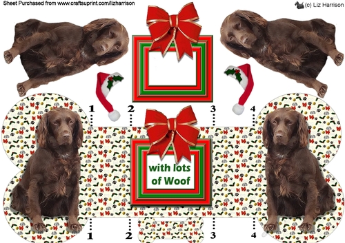 Field Spaniel Christmas Bone shaped card