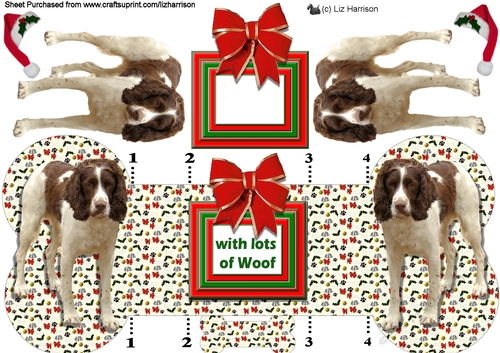 Springer Spaniel Christmas Bone shaped card