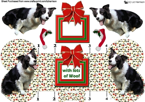 Border Collie Christmas Bone Shaped Card