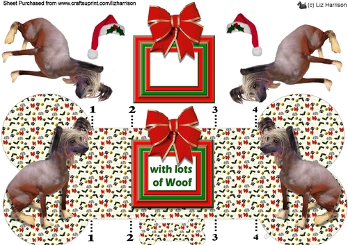 Chinese Crested Christmas Bone Shaped Card