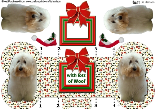 Coton de Tulear Christmas Bone Shaped Card