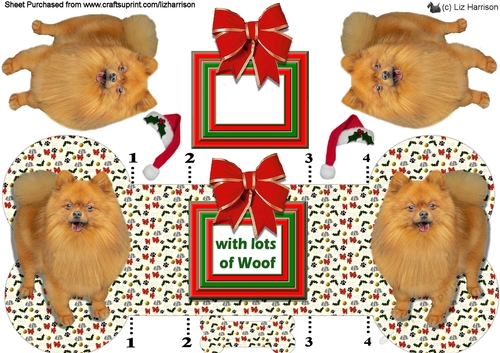 Pomeranian Christmas Bone Shaped Card