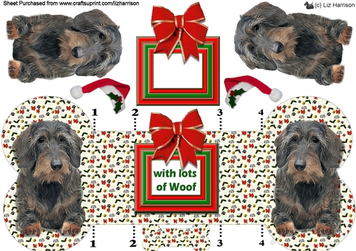 Dachshund Wire Haired Christmas Bone Shaped Card