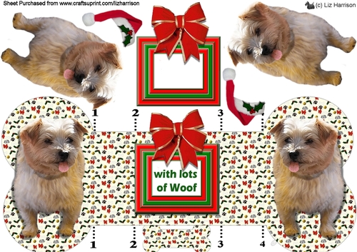 Norfolk Terrier Christmas Bone Shaped Card