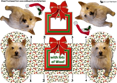 Norwich Terrier Christmas Bone Shaped Card