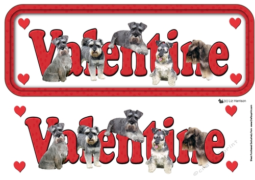 Miniature Schnauzer Valentine Name Sign 3D decoupage