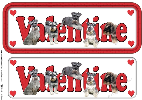  Miniature Schnauzer Valentine Name Sign 