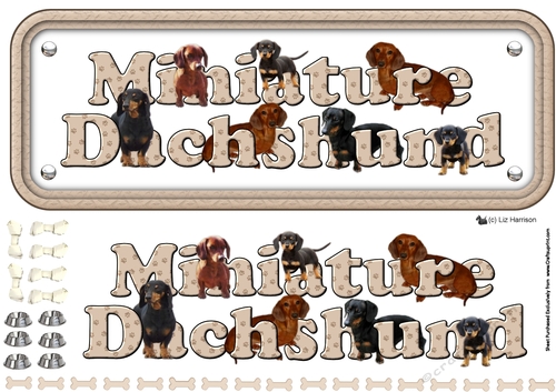 Miniature Dachshund ,Smooth Haired,Name sign 3D Decoupage