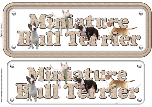 Bull Terrier (Miniature) Dog Name sign 