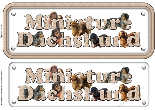 Miniature Dachshund Long Haired Name sign 