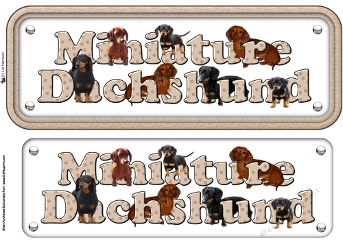 Miniature Dachshund Smooth Haired Name sign 