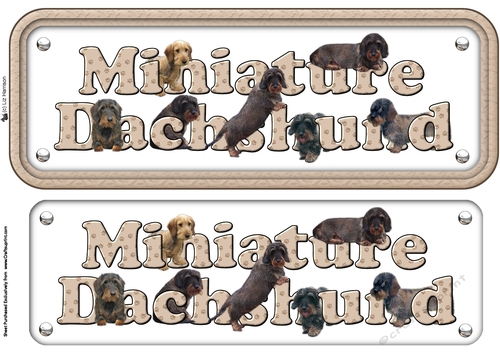 Miniature Dachshund Wire Haired Name sign 