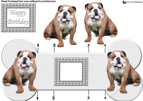 Bulldog Bone shaped card 