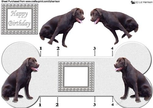 Chocolate Labrador Bone shaped card 