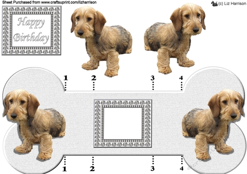 Dachshund Terrier Bone shaped card 