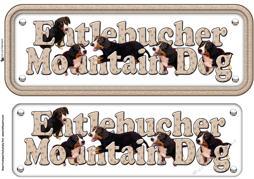Entlebucher  Mountain Dog Name Sign 