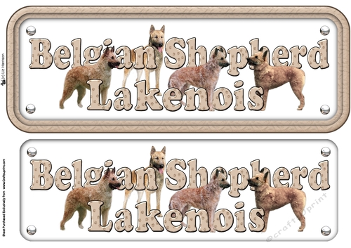 Belgian Shepherd Dog Lakenois Name Sign 