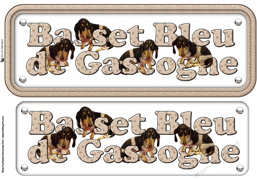 Basset Bleu De Gascogne Name Sign