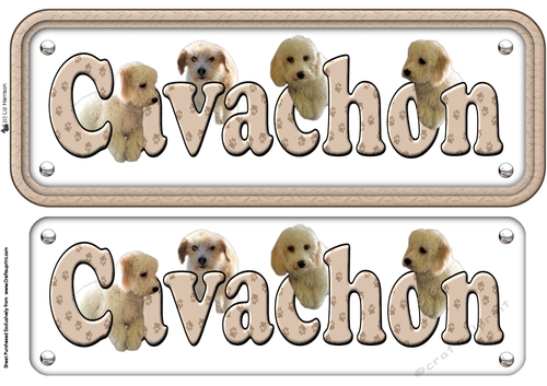 Cavachon Dog Name sign 