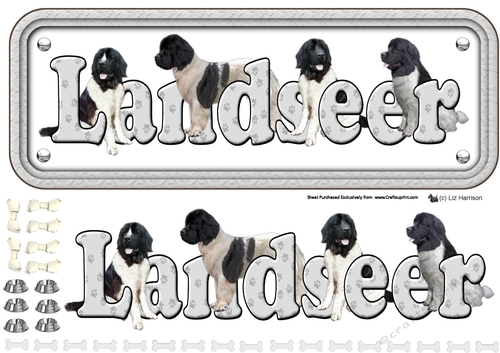 Landseer Name sign 3D Decoupage