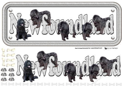 Newfoundland Name sign 3D Decoupage