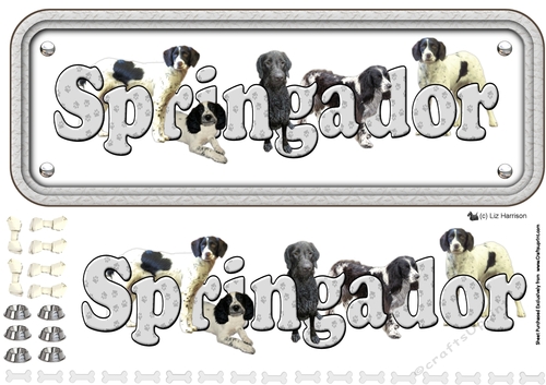 Springador  Name Sign 3D Decoupage