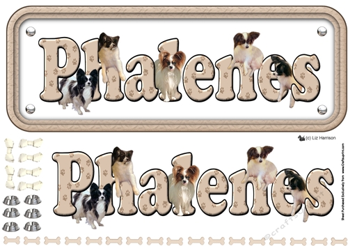 Phalenes  Name Sign 3D Decoupage