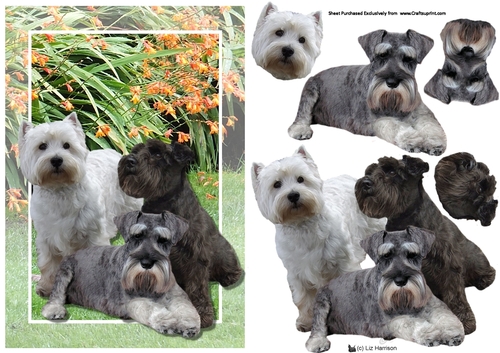 Westie & Schnauzers 3D decoupage scene