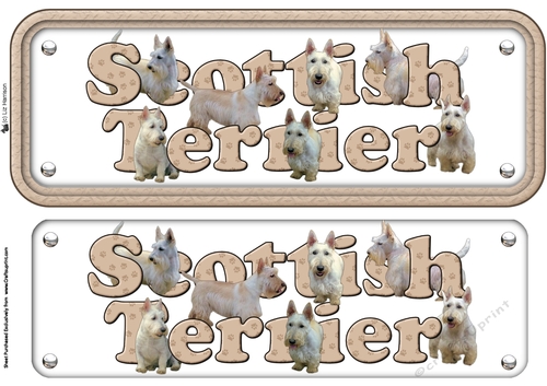 Scottish Terrier , Wheaten ,Name sign 