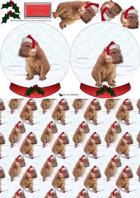 Shar Pei Christmas Snow Globe & Background